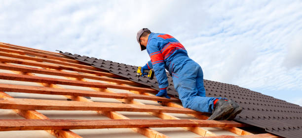 Best Skylight Installation and Repair  in Olive Branch, MS